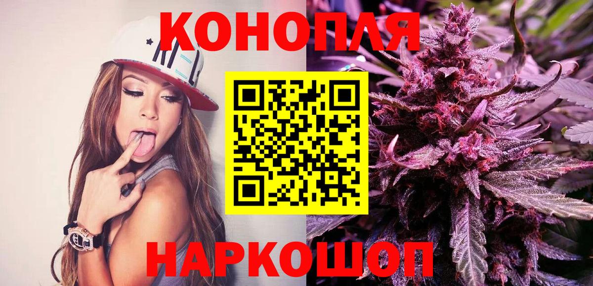 Бошки марихуана сатива Чернушка